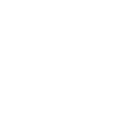 Logo genimi